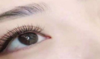 为什么会产生眼袋黑眼圈 为什么会产生眼袋黑眼圈的原因