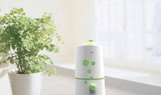 加湿器如何清洗（米家加湿器如何清洗）