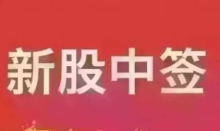 新股中签怎么操作（新股中签怎么操作流程）