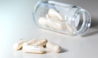 益生菌粉怎么吃（益生菌粉怎么吃效果好）