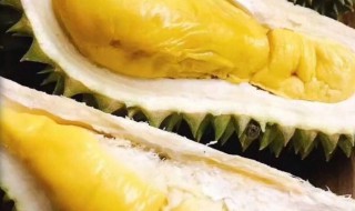 带壳榴莲储存方法 带壳榴莲保存方法