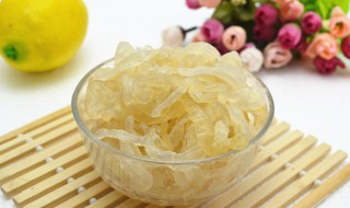 海蜇的折叠方法 海蜇的折叠方法视频教程