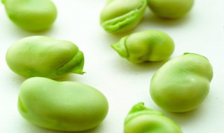 蚕豆保鲜及储存方法（蚕豆保鲜及储存方法视频）