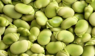蚕豆冷冻保存的方法（蚕豆速冻保鲜）