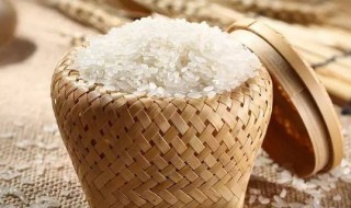 大米防止生虫的七个方法 大米防止生虫的七个方法是什么