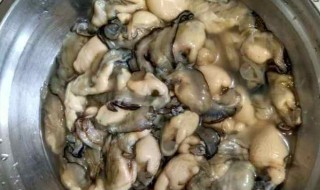 海蛎如何清洗 海蛎如何清洗才干净