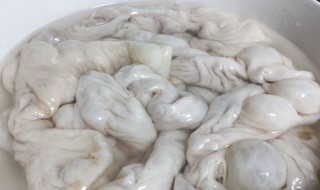 如何清洗猪大肠（如何清洗猪大肠才干净又没有异味）