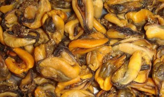 淡菜如何清洗 淡菜如何清洗?
