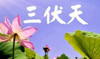 暑伏是什么时间开始的 暑伏是什么时间开始的2021