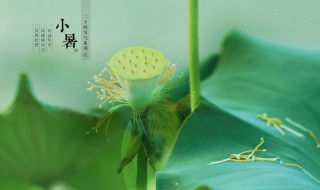 小暑的含义和由来 小暑的含义和由来简介