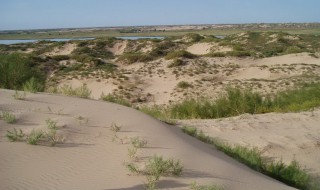 土地荒漠化的原因 西北地区土地荒漠化的原因