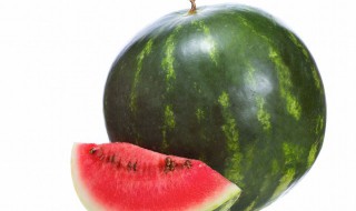 迷你西瓜种植方法 迷你西瓜种植方法图解