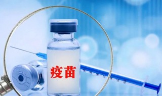 打疫苗有效期是多久（打疫苗多长时间生效）