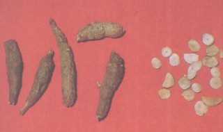 吃乌药后有什么禁忌（吃乌药后有什么禁忌和副作用）
