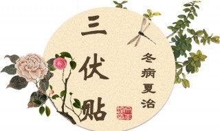 三伏贴后多久吃西瓜 贴了三伏天可以吃西瓜吗