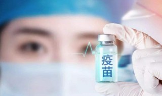 打完疫苗发烧怎么办 猫咪打完疫苗发烧怎么办