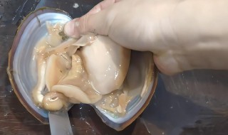 河蚌如何清洗 河蚌如何清洗?
