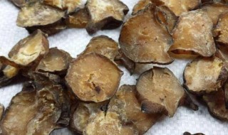 制附子的功效与作用 制附子的功效与作用及用量禁忌