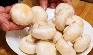 口蘑里面发黑还能吃吗（口蘑里面发黑还能吃吗图片）