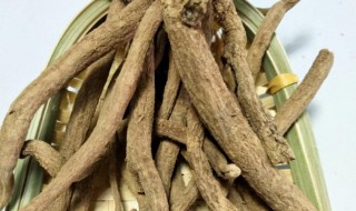 紫金龙的功效与作用 紫金龙的功效与作用图片