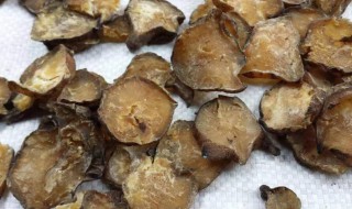 黑附子功效与作用的功效与作用（黑附子功效与作用的功效与作用图片）