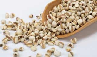 赤小豆芡实红薏米茶的功效与作用（赤小豆芡实红薏米茶的功效与作用常喝）