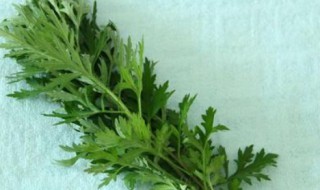 艾草可以挂门里吗 艾草可以挂门内吗