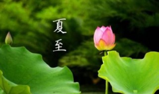 夏至应该吃什么养生（夏至应该吃什么养生菜）
