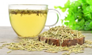 什么是迷迭香茶（迷迭香是茶吗）