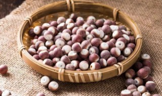孕期可以吃芡实吗（怀孕可以吃芡实吗）