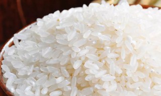 冲泡米饭的原理 冲泡米饭的原理视频