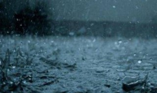 下雨之前的自然现象 下雨之前的自然现象怎么画