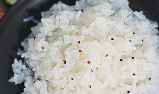 魔芋米可以长期代替米饭吗 魔芋米可以长期代替米饭吗对吗