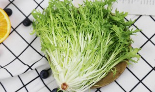 菊苣在农村叫什么（菊苣在农村叫什么菜）