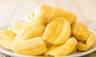 菠萝蜜怎么挑选果肉大 如何挑选菠萝蜜果肉大