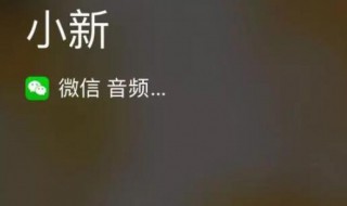 微信电话怎么打（微信电话怎么打开扬声器）
