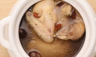 补肾壮阳鸽子汤的做法（补肾壮阳鸽子汤的做法和配方）