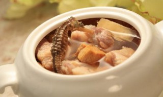 海马汤补肾的做法大全（海马煲什么汤补肾）