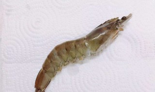 虾死了几个小时能不能吃了（虾死了半小时能吃不）