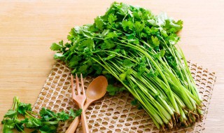 香菜能不能生吃（香菜可以直接生吃吗）