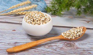 薏米可以经常吃吗 薏米可以经常吃吗百度百科