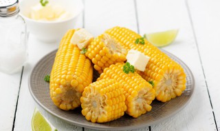 减肥的时候吃什么食物比较合适（减肥的时候吃什么食物比较好）