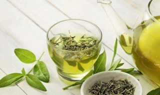喝绿茶忌什么（绿茶的喝法及禁忌）