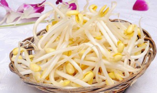 春分时节适合吃什么菜（春分时节适合吃什么菜和水果）