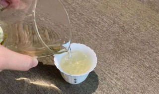 荔枝白茶的功效与作用（荔枝白茶的功效与作用及禁忌）