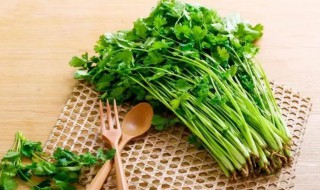 胡萝卜芫荽茶的功效与作用