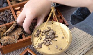 川断的功效和作用 川断的功效和作用主治