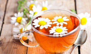 喝菊花茶的禁忌（喝菊花茶的禁忌人群）
