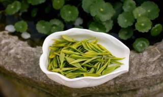 碧螺春好喝吗（碧螺春好喝吗?）