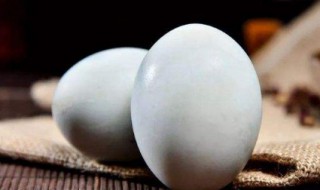 鹅蛋好处（孕期吃鹅蛋好处）